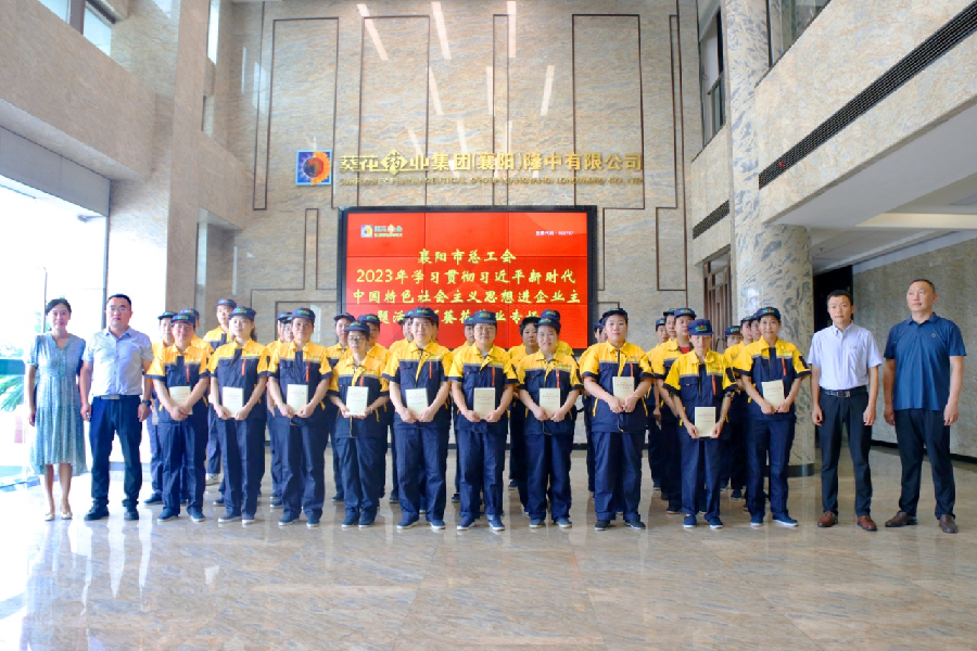 隆中葵花图片1.png