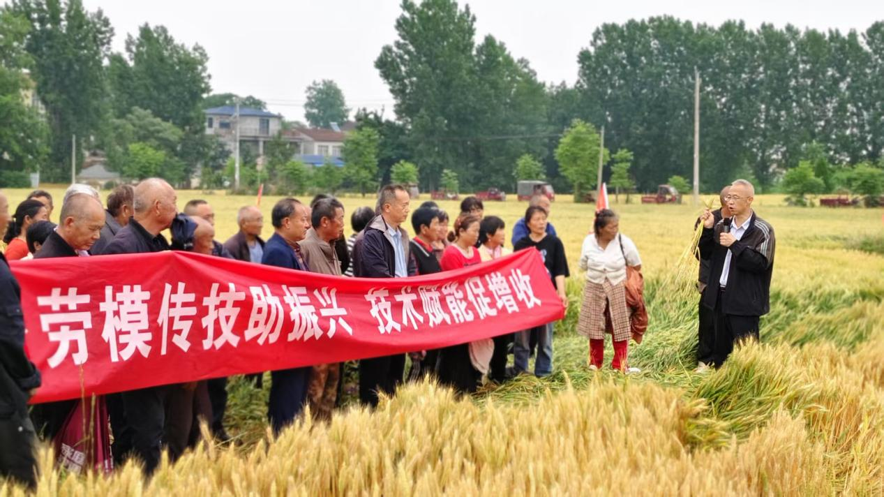 微信图片_20260518175530.png