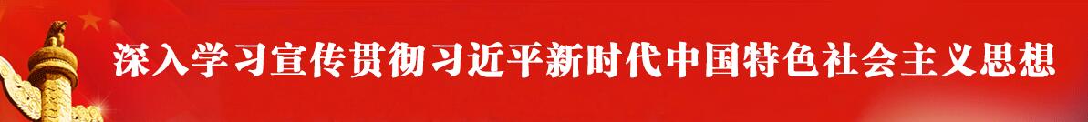 深入学习宣传贯彻习近平新时代中国特色社会主义思想