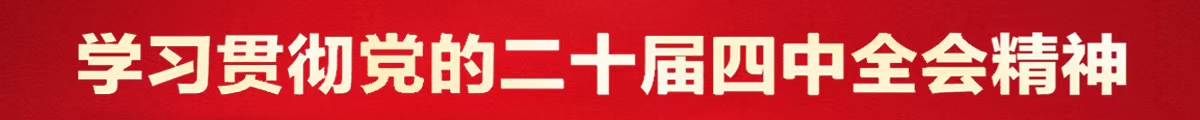学习贯彻党的二十届四中全会精神